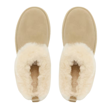 UGG Tazz Slipper Women's Beige 5